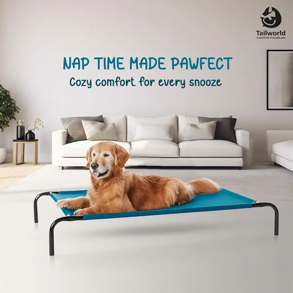 Teal_Premium_Elevated_Bed_For_All_Pets