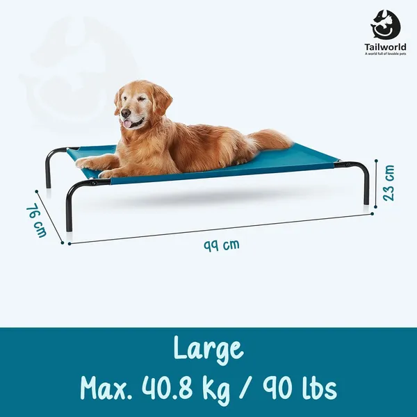 Teal_Premium_Elevated_Bed_For_All_Pets
