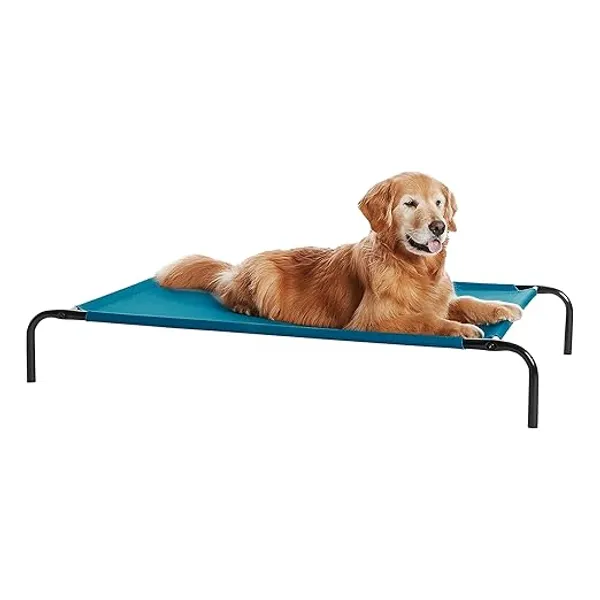 Teal_Premium_Elevated_Bed_For_All_Pets
