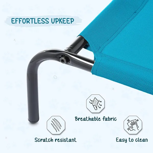 Teal_Premium_Elevated_Bed_For_All_Pets