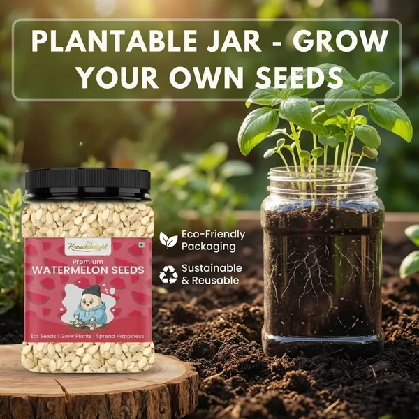 Premium_Watermelon_Seeds_|_Natural_High_Protein_Superfood_|_Nutrient-Rich_Healthy_Snack_|_Eco-friendly_Reusable_Jar_-_Free_Seeds_|