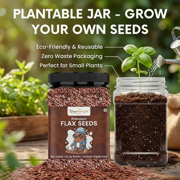 Premium_Flax_Seeds,_Organic_Raw_Flaxseeds,_g,_Rich_in_Omega-3,_Protein_&_Dietary_Fibre,_Source_of_Iron_&_Antioxidants,_Gluten-Free,_Vegan_|_Eco-friendly_Reusable_Jar_-_Free_Seeds_|