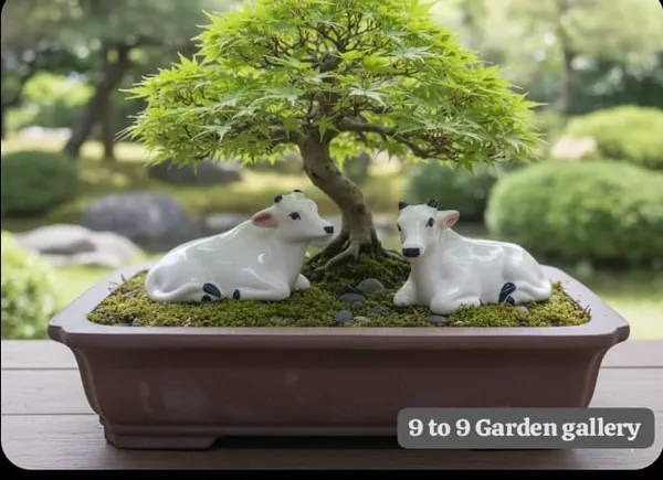 Cow_white_ceramic_pack_of_2_pie