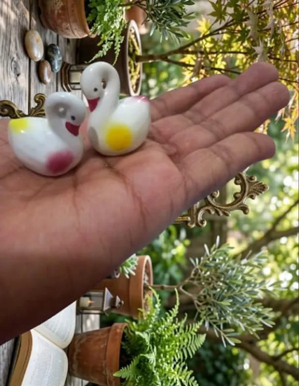 Set_of_of_5_-_Miniature_Ceramic_-__white_Ducks