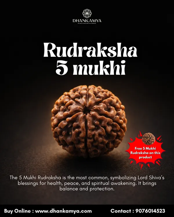5_Mukhi_Rudraksha_For_Men_&_Women_|_Pack_Of_1_With_5_Mukhi_Rudraksh_Free