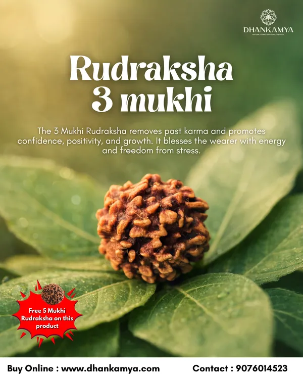 3_Mukhi_Rudraksha_For_Men_&_Women_|_Pack_Of_1_With_5_Mukhi_Rudraksh_Free