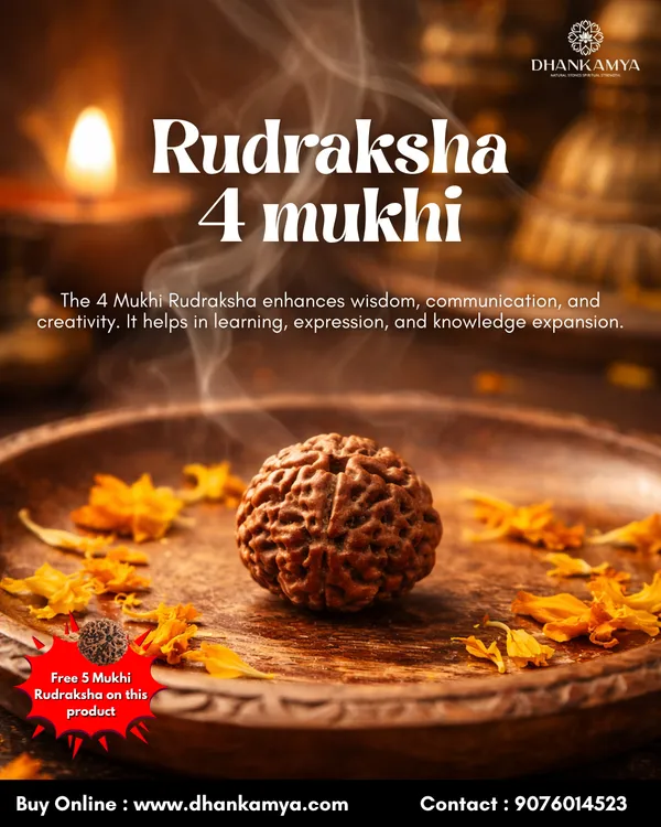 4_Mukhi_Rudraksha_For_Men_&_Women_|_Pack_Of_1_With_5_Mukhi_Rudraksh_Free