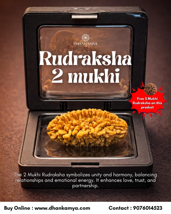 2_Mukhi_Rudraksha_For_Men_&_Women_|_Pack_Of_1_With_5_Mukhi_Rudraksh_Free