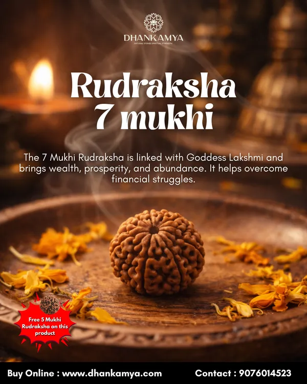 7_Mukhi_Rudraksha_For_Men_&_Women_|_Pack_Of_1_With_5_Mukhi_Rudraksh_Free