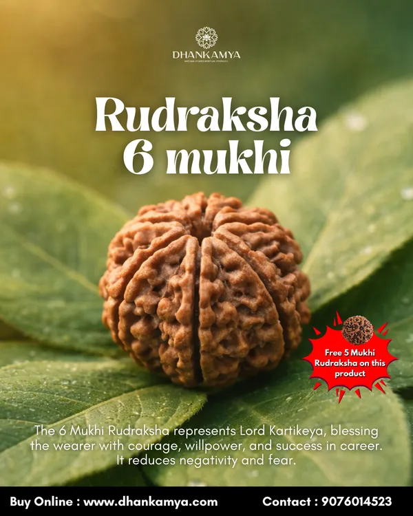 6_Mukhi_Rudraksha_For_Men_&_Women_|_Pack_Of_1_With_5_Mukhi_Rudraksh_Free