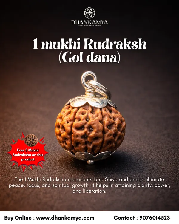 1_Mukhi_Rudraksha_For_Men_&_Women_|_Pack_Of_1_With_5_Mukhi_Rudraksh_Free