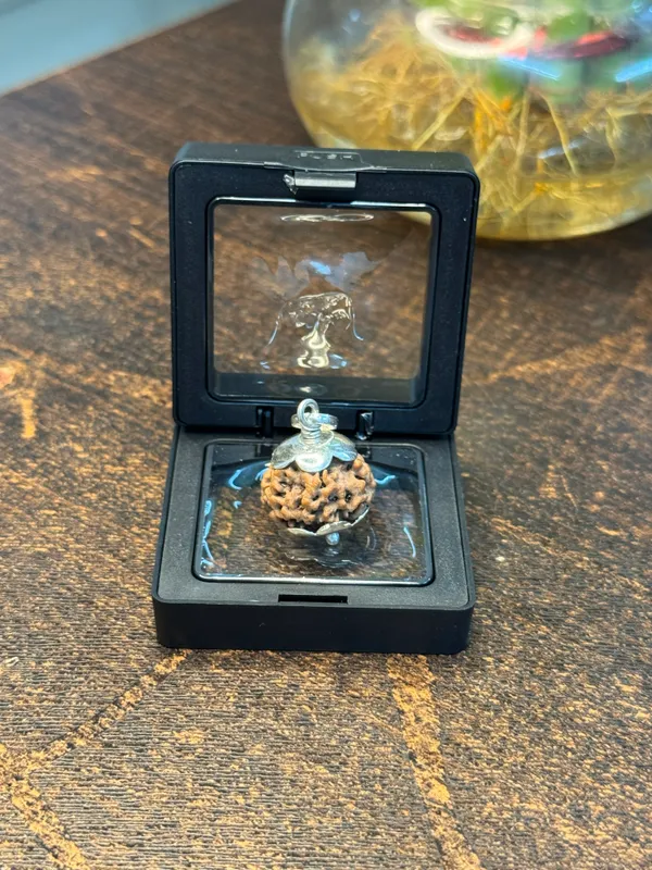 1_Mukhi_Rudraksha_For_Men_&_Women_|_Pack_Of_1_With_5_Mukhi_Rudraksh_Free