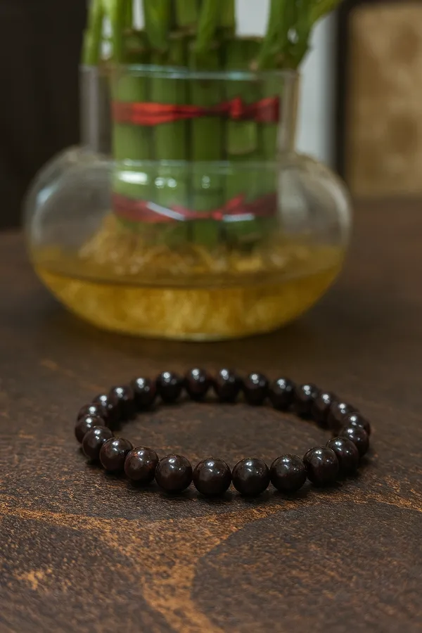 Garnet_Bracelet_For_Men_&_Women_|_Pack_Of_1_With_5_Mukhi_Rudraksh_Free