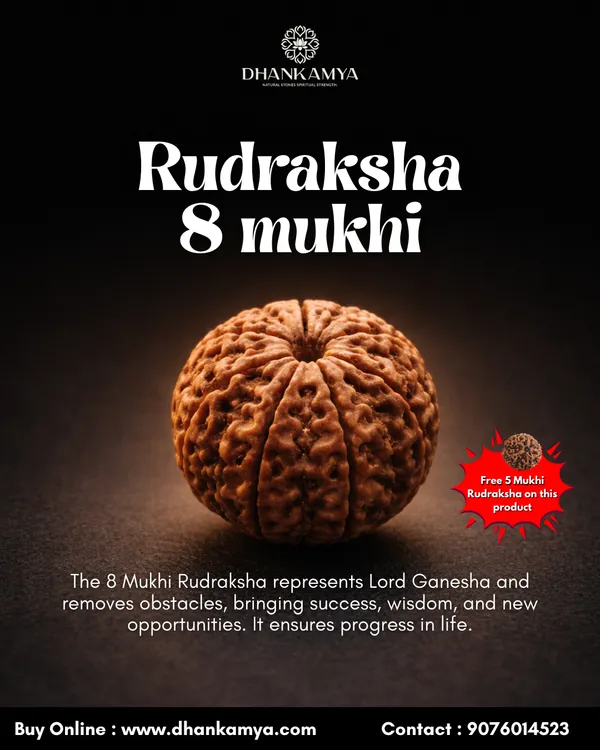 8_Mukhi_Rudraksha_For_Men_&_Women_|_Pack_Of_1_With_5_Mukhi_Rudraksh_Free