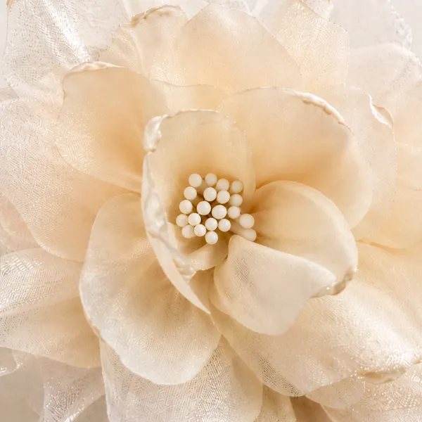 Beautiful_Flower_Hairclip_For_Women_&_girls_,Cream_Colour