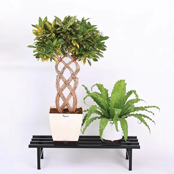 Heavy_Duty_Metal_Plant_Stand_For_Pots_Set_Of_2_Rust_Proof_Powder_Coated_Iron_Planter_Stand_Indoor_Outdoor_Flower_Pot_Stand_For_Balcony_Garden_Home_Decor_61_X_20_X_11_Cm_Black