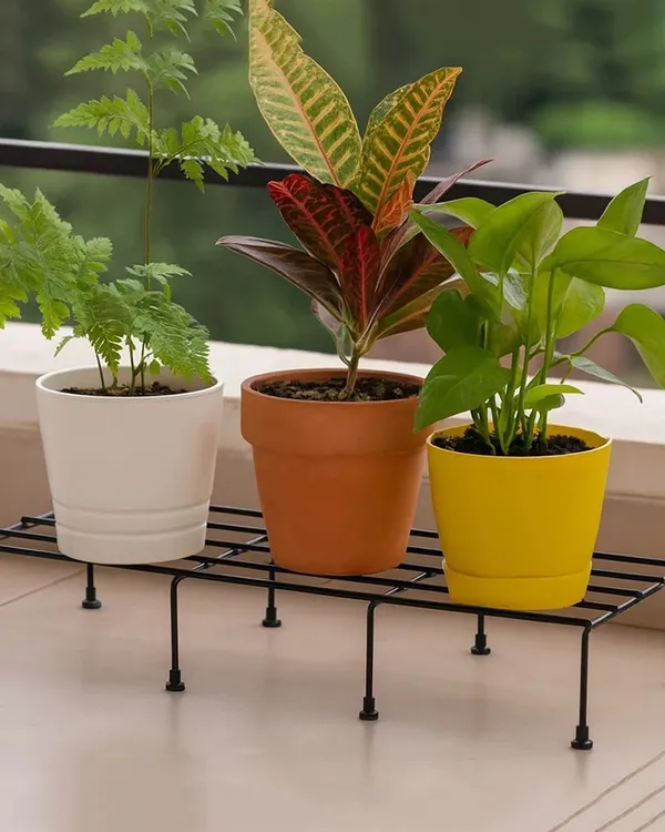 Plant_Stand_|_Black,_(Set_of_4)_120_KG_Load_Capacity,_Anti-Rust_Metal_with_Non-Bendable_Legs_|_Ideal_for_Plant_Stands_for_Outdoor_Balcony,_Indoor_Living_Room,_Flower_Pot_Stand_for_Balcony,_Planters_for_Home_Decor