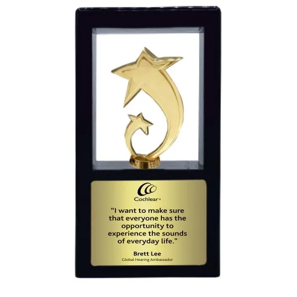 Shadow_Box_Pillar_With_Golden_Shooting_Star