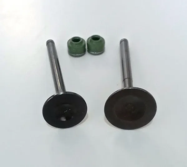 MAHINDRA_CENTURO_Valve_Kit_For_2_Wheeler