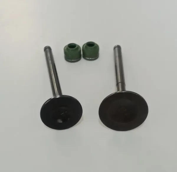 MAHINDRA_CENTURO_Valve_Kit_For_2_Wheeler