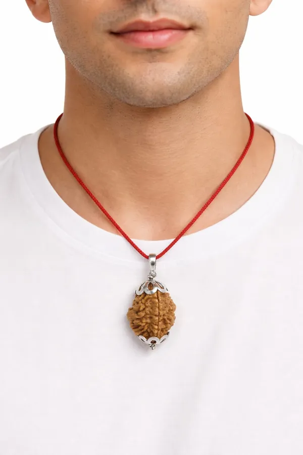Brown_02_Mukhi_Nepali_Rudraksha_Lab_Certified_For_Men_And_Women