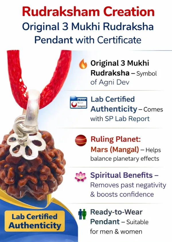 Brown_03_Mukhi_Nepali_Rudraksha_Lab_Certified_For_Men_And_Women