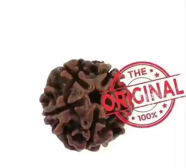 Brown_05_Mukhi_Nepali_Rudraksha_Lab_Certified_For_Men_And_Women