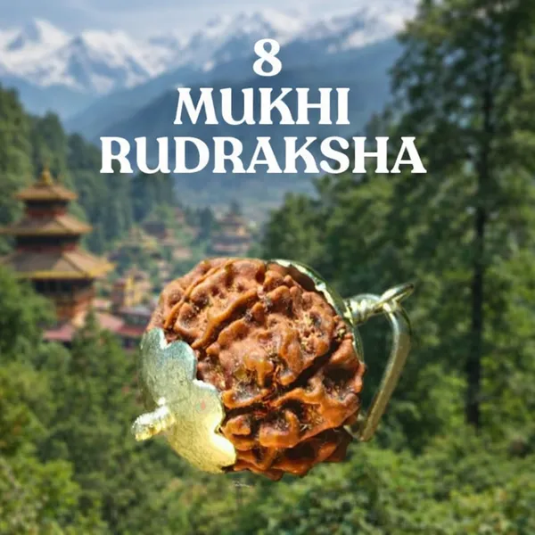Brown_08_Mukhi_Authentic_Rudraksha_For_Men_And_Women