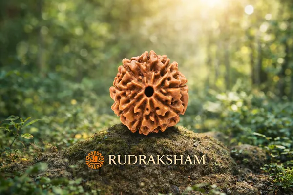 Brown_09_Mukhi_Authentic_Rudraksha_For_Men_And_Women