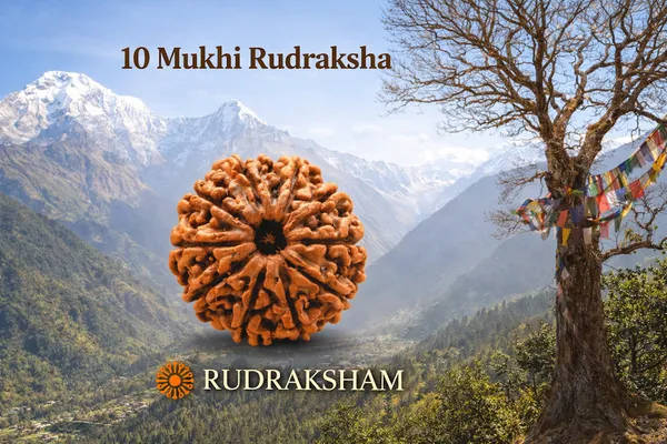 Brown_10_Mukhi_Authentic_Rudraksha_For_Men_And_Women