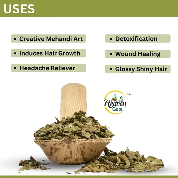 Dry_Mehandi_Leaves_250_Grams_Pure_And_Traditional_Henna_Leaves_For_Hair_And_Skin,_Ideal_For_Making_Diy_Mehndi_Paste,_Temporary_Body_Art,_And_Beauty