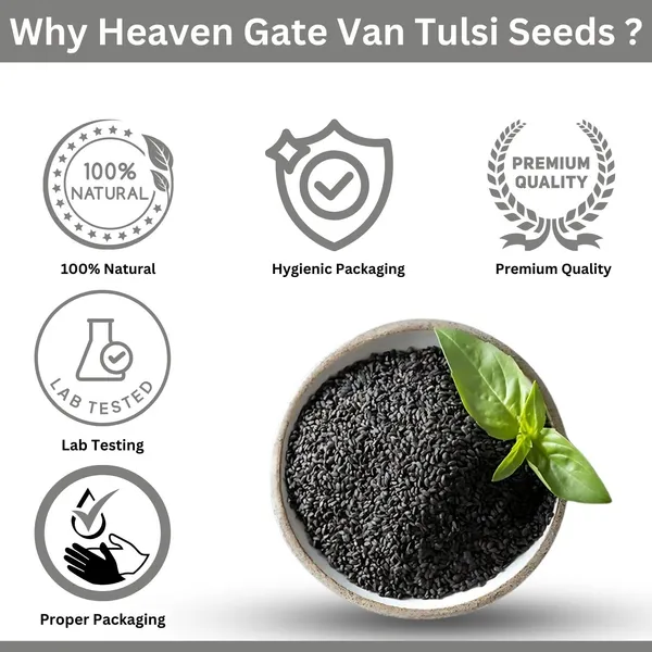 Edible_Van_Tulsi_Seeds_Vana_Tulsi_Beej,_Mahabeera_Seeds_Sabja_Seed_Nutritious_Seeds_For_Wellness,_Perfect_For_Detox_Drinks,_Herbal_Remedies,_And_Enhancing_Overall_Health_250_Grams
