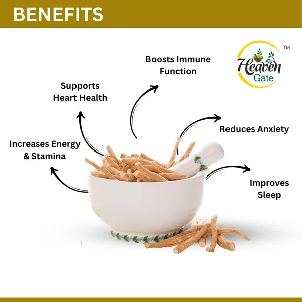 Ashwagandha_Root_Whole_200_Grams_Best_For_Immunity_And_Body_Wellness_And_Traditional_Herb_For_Wellness,_Dried_Ashwagandha_Root_Perfect_For_Supporting_Everyday_Health