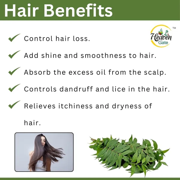 Dry_Neem_Leaves_And_Versatile_Herb_For_Wellness,_Perfect_For_Herbal_Teas,_Diy_Remedies,_Skin_Care,_And_Traditional_Ayurvedic_Practices,_Packed_For_Longlasting_Freshness_250_Grams