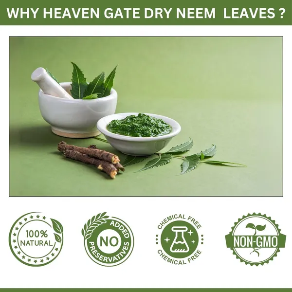 Dry_Neem_Leaves_And_Versatile_Herb_For_Wellness,_Perfect_For_Herbal_Teas,_Diy_Remedies,_Skin_Care,_And_Traditional_Ayurvedic_Practices,_Packed_For_Longlasting_Freshness_250_Grams