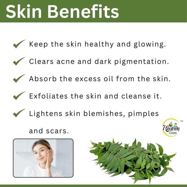 Dry_Neem_Leaves_And_Versatile_Herb_For_Wellness,_Perfect_For_Herbal_Teas,_Diy_Remedies,_Skin_Care,_And_Traditional_Ayurvedic_Practices,_Packed_For_Longlasting_Freshness_250_Grams