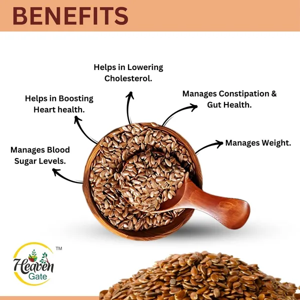 Alsi_Seeds_Raw_100_Grams_And_Nutritious_Flaxseeds_For_A_Healthy_Lifestyle,_Rich_In_Omega3,_Fiber,_And_Protein,_Perfect_For_Smoothies,_Baking,_Salads,_And_Daily_Wellness