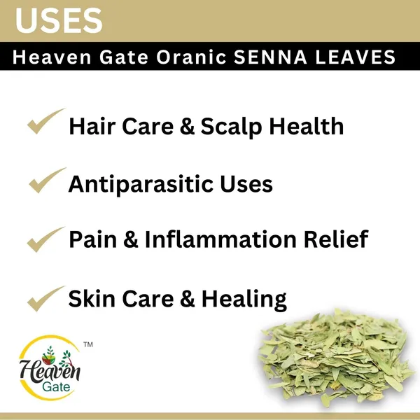 Dried_Senna_Leaves_100_Grams_Nilavarai_Leaves_Sonamukhi_Cassia_Angustifolia_Raw_Herbal_Remedy_For_Digestive_Health