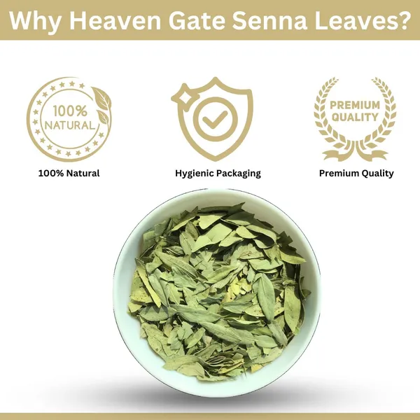 Dried_Senna_Leaves_100_Grams_Nilavarai_Leaves_Sonamukhi_Cassia_Angustifolia_Raw_Herbal_Remedy_For_Digestive_Health