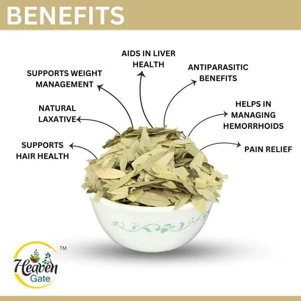 Dried_Senna_Leaves_100_Grams_Nilavarai_Leaves_Sonamukhi_Cassia_Angustifolia_Raw_Herbal_Remedy_For_Digestive_Health