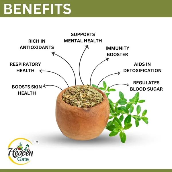 Ashwagandha_Dry_Leaves_100_Grams_Amukara_Kizhangu_Pure_And,_Premium_Herbal_Supplement_For_Stress_Relief,_Energy_And_Immunity_Boost