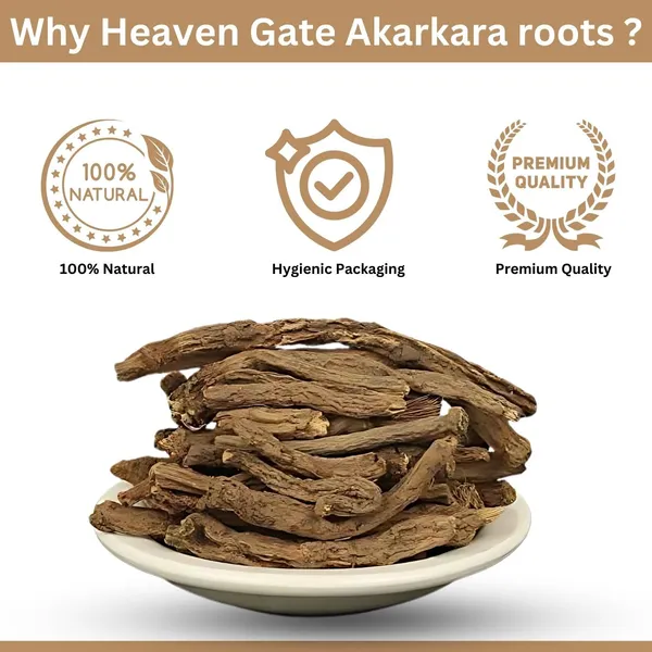 Akarkara_Root_250_Grams_Anacyclus_Pyrethrum_Pellitory_Root_For_Natural_Health_And_Wellness_Pure_Akkarakaaram_Root_Supplement