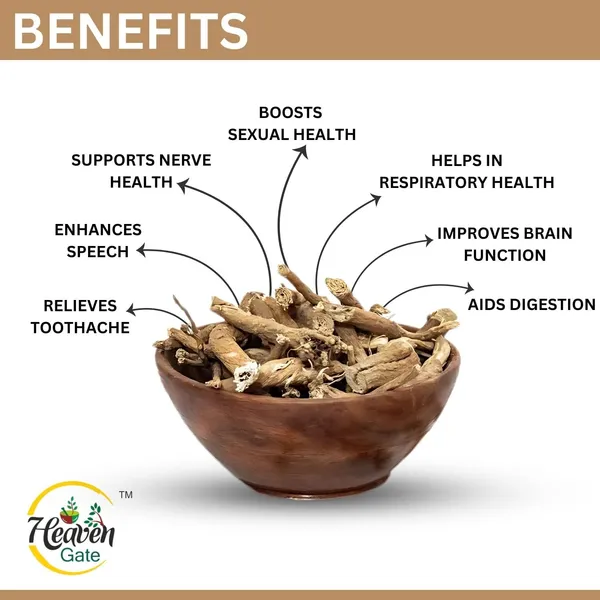 Akarkara_Root_250_Grams_Anacyclus_Pyrethrum_Pellitory_Root_For_Natural_Health_And_Wellness_Pure_Akkarakaaram_Root_Supplement