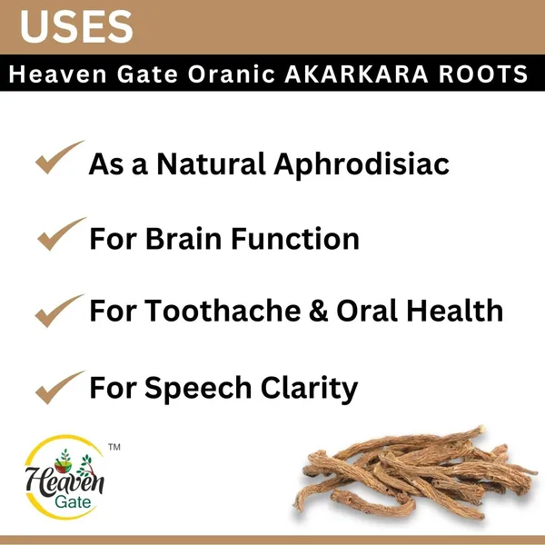 Akarkara_Root_250_Grams_Anacyclus_Pyrethrum_Pellitory_Root_For_Natural_Health_And_Wellness_Pure_Akkarakaaram_Root_Supplement