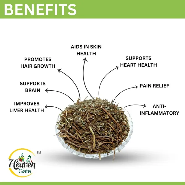 Bhringraj_Dry_Leaves_100_Grams_Raw_Bhringraj_For_Hair_Regrowth_And_Scalp_Treatment_Bhringraj_For_Curly,_Straight,_And_Wavy_Hair_Rich_In_Nutrients