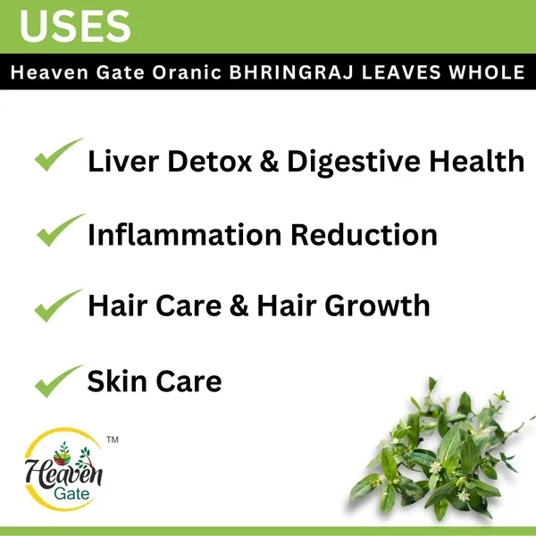 Bhringraj_Dry_Leaves_100_Grams_Raw_Bhringraj_For_Hair_Regrowth_And_Scalp_Treatment_Bhringraj_For_Curly,_Straight,_And_Wavy_Hair_Rich_In_Nutrients