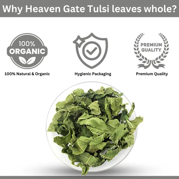 Dried_Tulsi_Leaves_900_Grams_Holy_Basil_Ocimum_Tenuiflorum_Queen_Of_Herbs_100%_And_Organic_Tulasi_Leaves_For_Wellness_And_Health