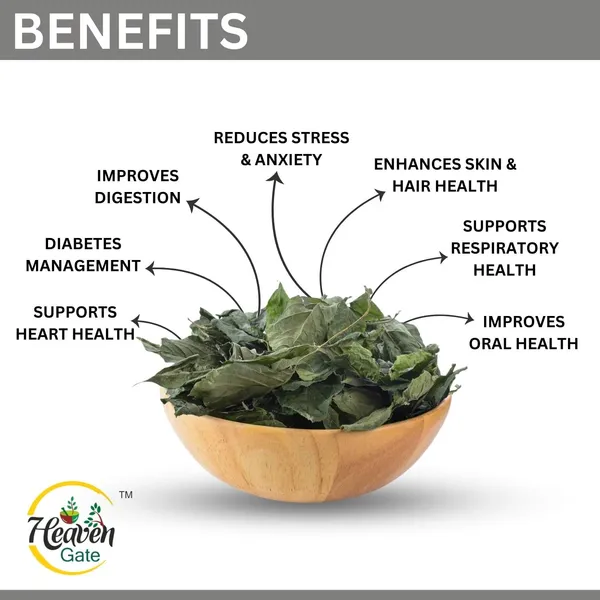 Dried_Tulsi_Leaves_900_Grams_Holy_Basil_Ocimum_Tenuiflorum_Queen_Of_Herbs_100%_And_Organic_Tulasi_Leaves_For_Wellness_And_Health
