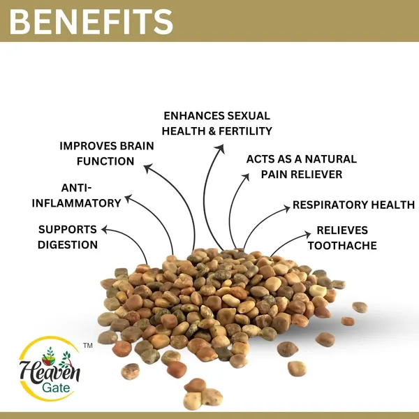 Akarkara_Seed_250Grams_Herbal_Supplement_For_Health_Pure,_Fresh_And_Organic