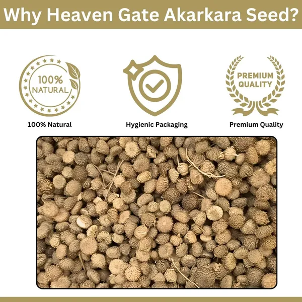Akarkara_Seed_250Grams_Herbal_Supplement_For_Health_Pure,_Fresh_And_Organic